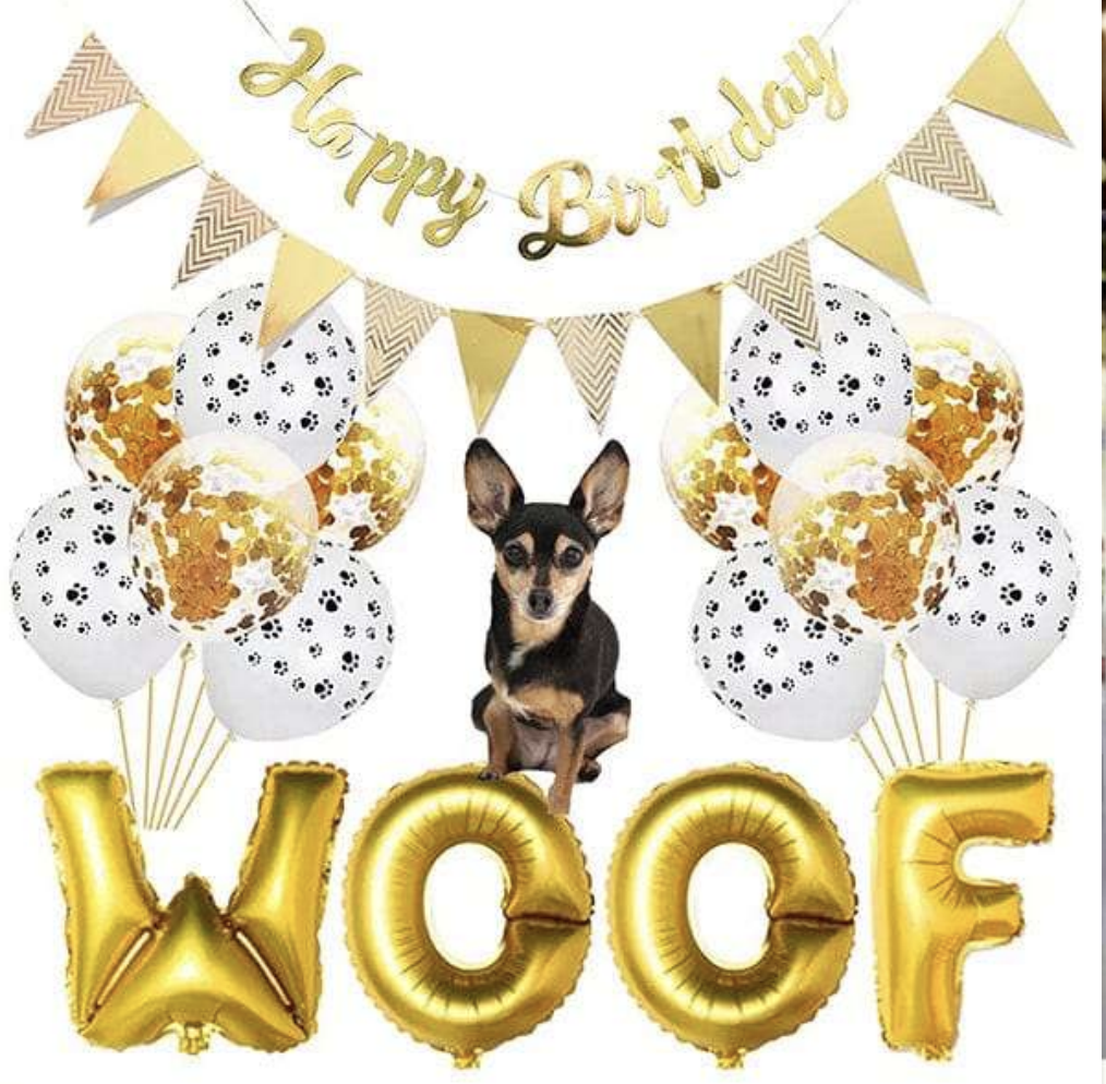 COMBO CUMPLEAÑOS PERRO